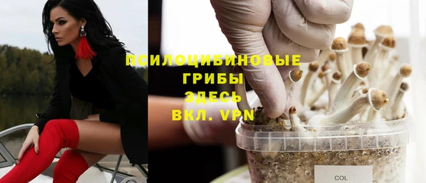 прущие крисы Аркадак