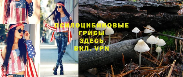 стафф Армянск