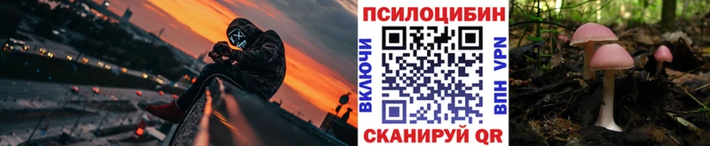 Псилоцибиновые грибы MAGIC MUSHROOMS  дарнет шоп  Павлово 